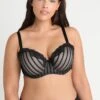 City Chic Fifi Bra - Beugel Bh - Black/Latte -Dameskledingwinkel a3a97051c8934e4691bda6e49d793157