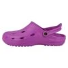 Dux Duflex Unisex - Clogs - Violett Brombeer 1 Dux Duflex Unisex - Clogs - Violett Brombeer -Dameskledingwinkel cd8b8516727e4e9ebe13e6298f285ef4